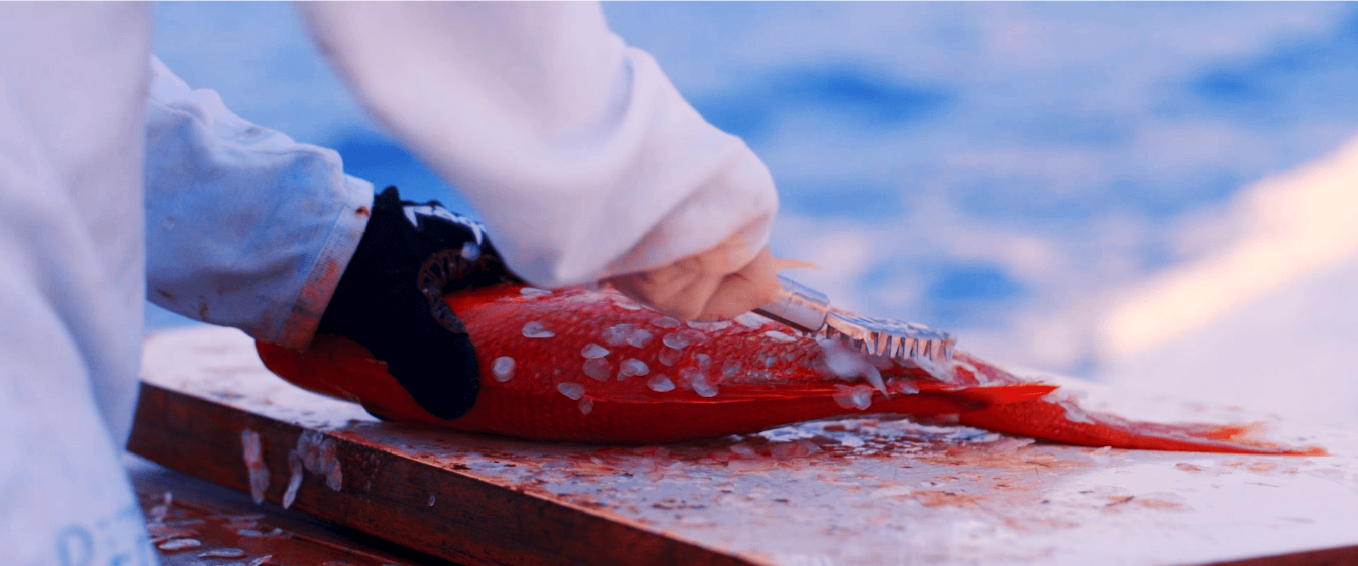 房竹丸直売所　海鮮料理勝魚